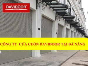 cong-ty-cua-cuon-davidoor-DN